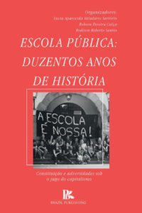 Escola pública: duzentos anos de história – constituição e adversidades sob o jugo do capitalismo [E-book]