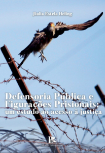Defensoria pública e figurações prisionais: um estudo de acesso à justiça [E-book]