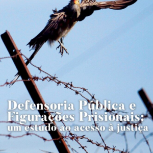 Defensoria pública e figurações prisionais: um estudo de acesso à justiça [E-book]