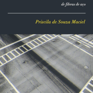 Análise da infraestrutura de pavimento rígido com reforço diferenciado de fibras de aço [E-book]