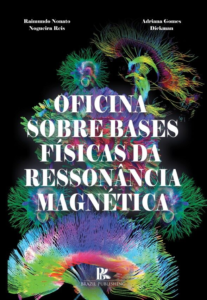 Oficina sobre bases físicas da ressonância magnética [E-book]