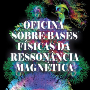 Oficina sobre bases físicas da ressonância magnética [E-book]
