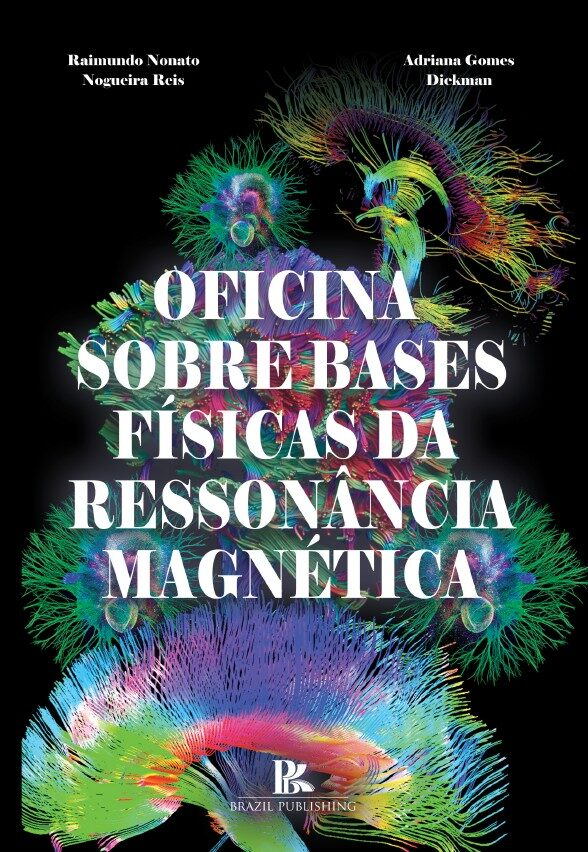 Oficina sobre bases físicas da ressonância magnética [E-book]