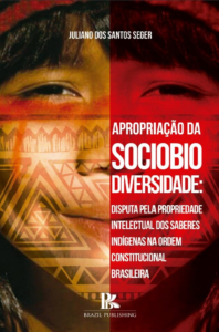 Apropriação da sociobiodiversidade: disputa pela propriedade intelectual dos saberes indígenas na ordem constitucional brasileira [E-book]