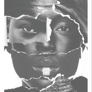 Práticas pedagógicas na promoção da igualdade racial [E-book]