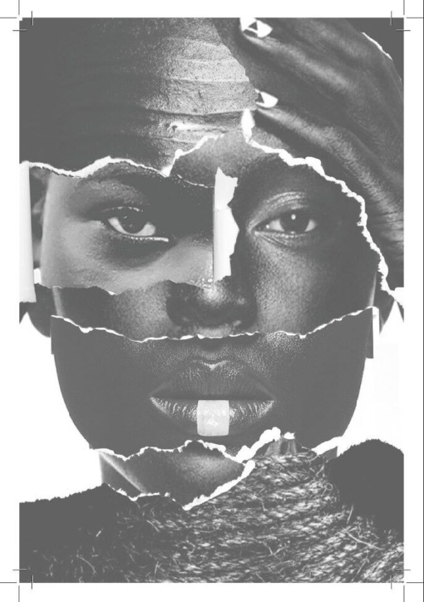 Práticas pedagógicas na promoção da igualdade racial [E-book]